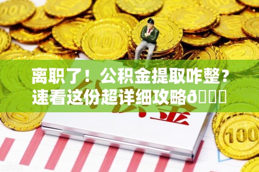 新建离职了！公积金提取咋整？速看这份超详细攻略😎